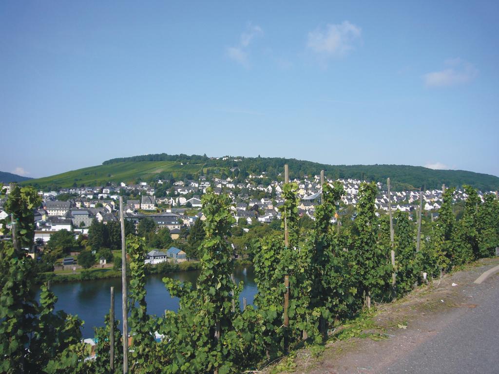 Christiana'S Wein & Art Hotel Bernkastel-Kues Bagian luar foto