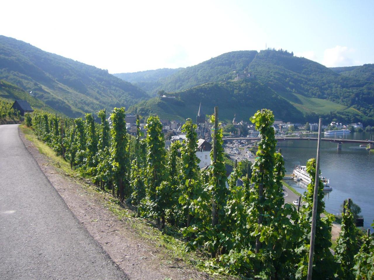 Christiana'S Wein & Art Hotel Bernkastel-Kues Bagian luar foto